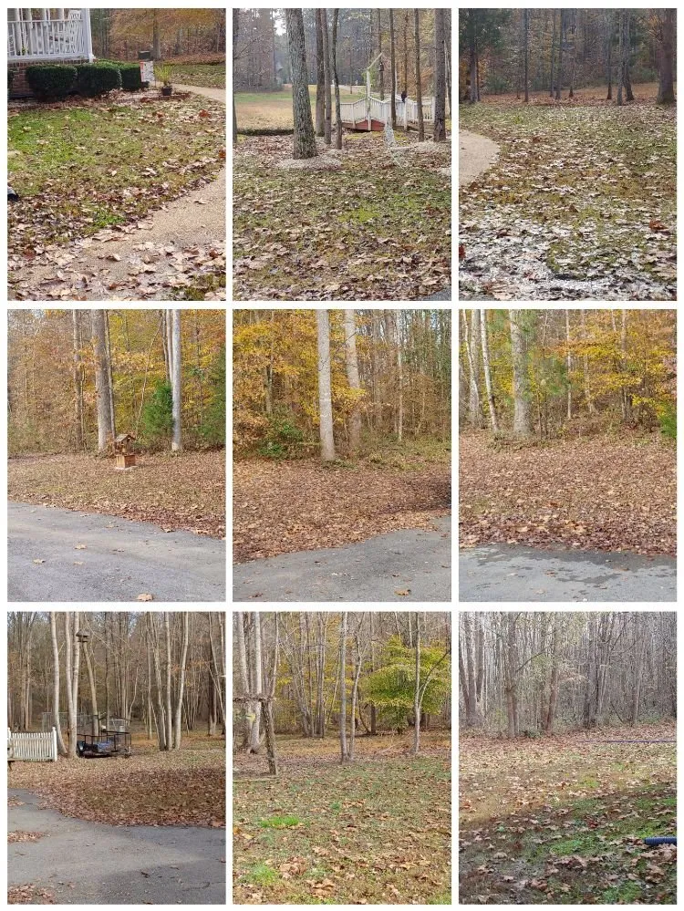 Local lawn care service for beautiful yards in Richmond, VA by T.I.E. Transit