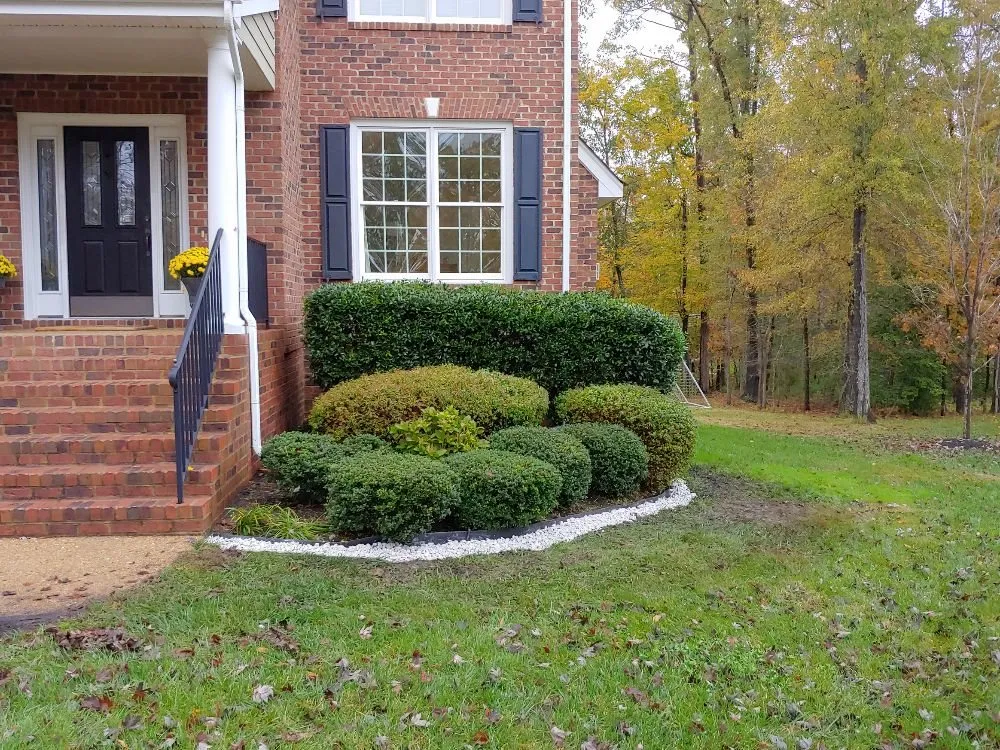 Top-rated yard cleanup service for homes across Richmond, VA - T.I.E. Transit