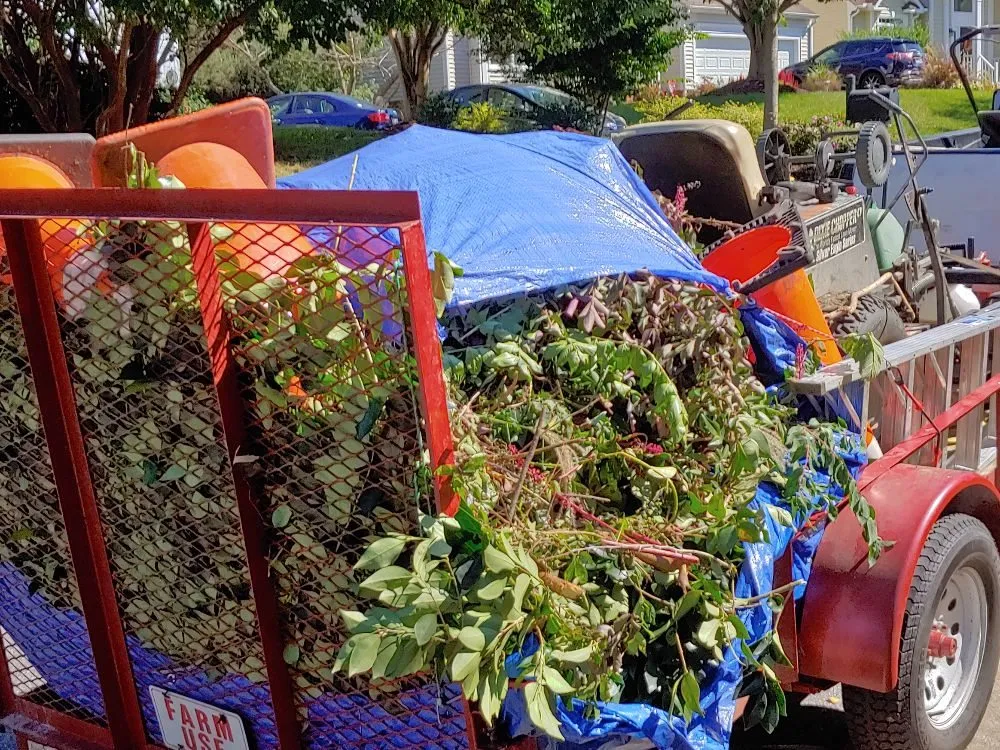 Expert lawn mowing service for residential properties across Richmond, VA - T.I.E. Transit