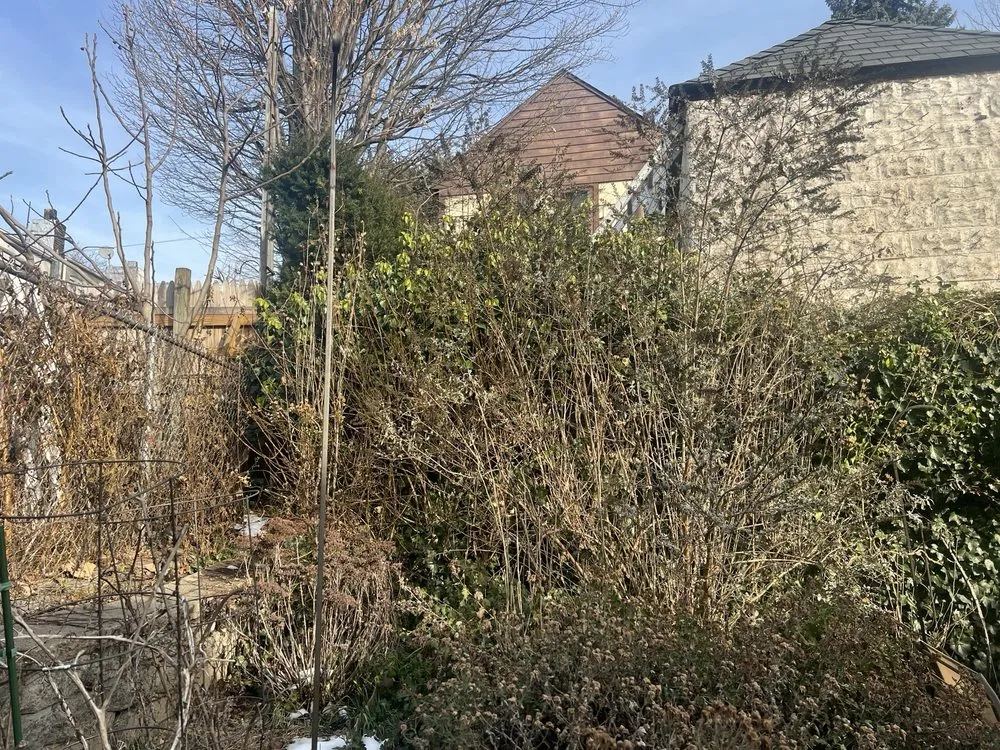 Local landscaping services near you in Little Neck, NY by Tielis Landscaping and Tree Service