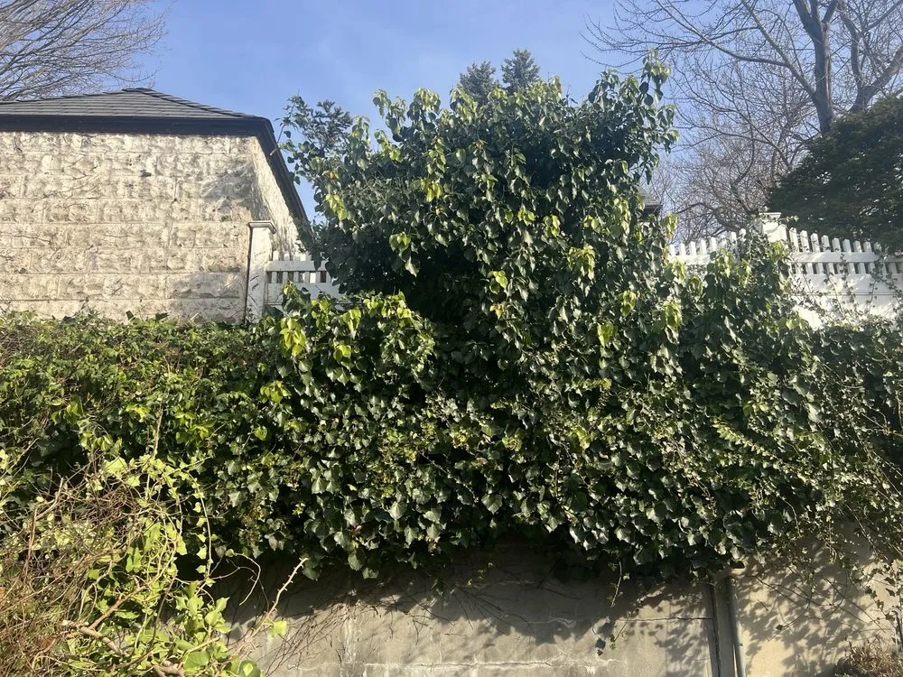 Custom lawn care service for outdoor upgrades in Little Neck, NY by Tielis Landscaping and Tree Service