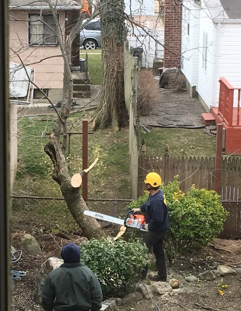 Affordable garden landscaping in Little Neck, NY - Tielis Landscaping and Tree Service