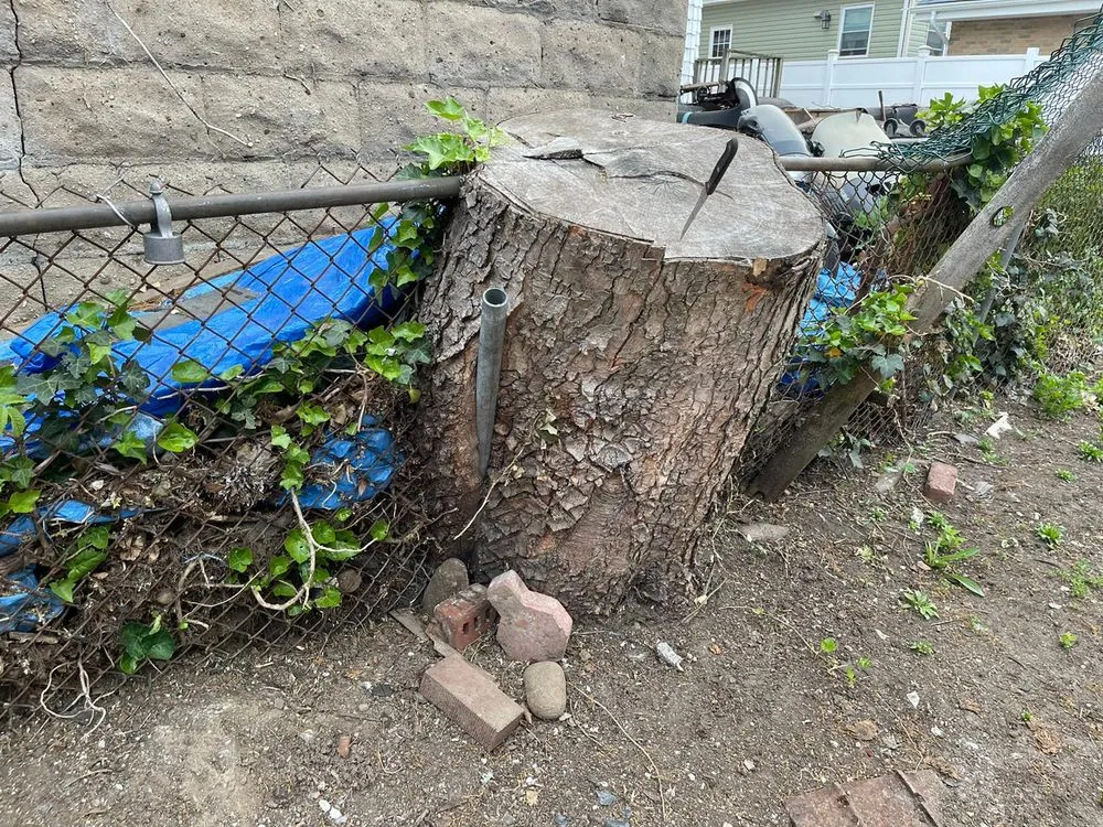 Top-rated landscaping services in Little Neck, NY by Tielis Landscaping and Tree Service