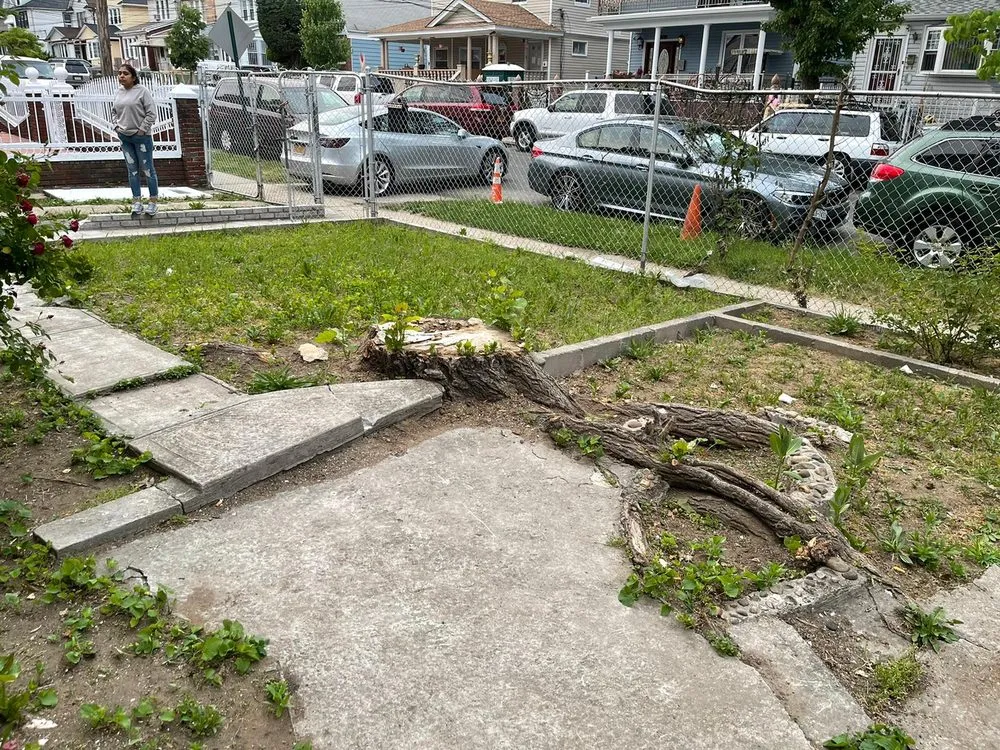 Professional yard cleanup service experts serving Little Neck, NY - Tielis Landscaping and Tree Service