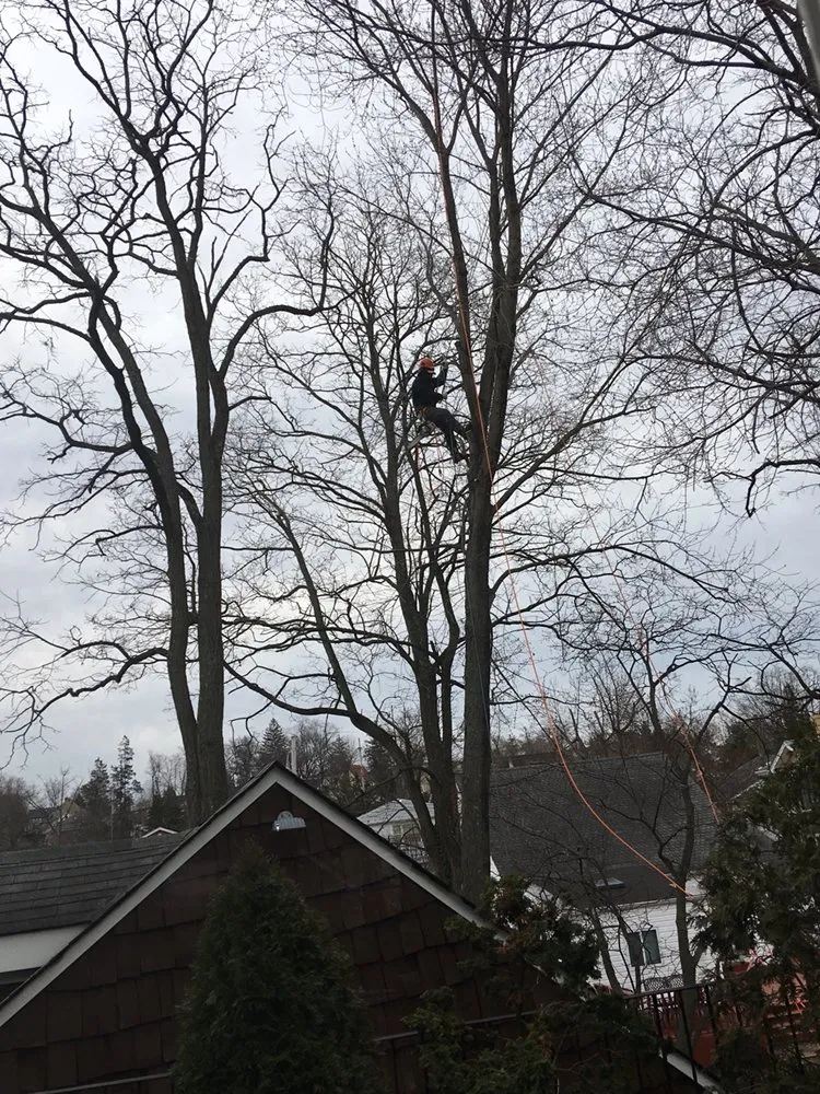 Reliable garden landscaping experts serving Little Neck, NY - Tielis Landscaping and Tree Service