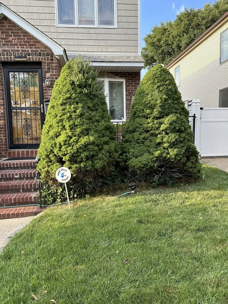 Expert landscape design in Little Neck, NY - Tielis Landscaping and Tree Service