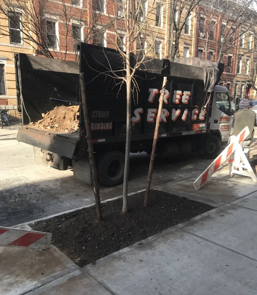 Custom garden landscaping with custom design across Little Neck, NY - Tielis Landscaping and Tree Service