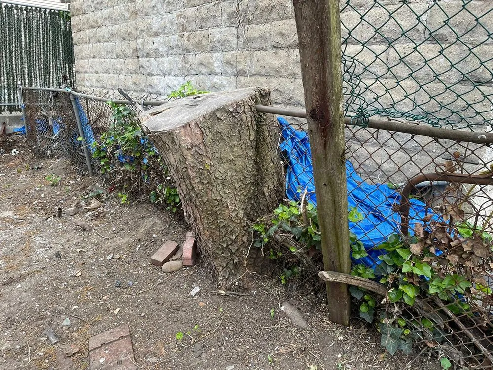 Reliable outdoor landscaping in Little Neck, NY by Tielis Landscaping and Tree Service