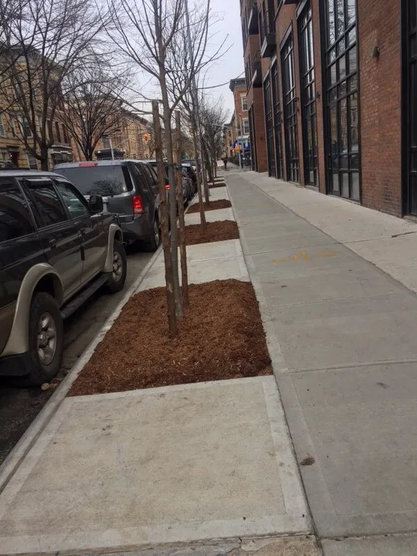 Reliable landscaping services in Little Neck, NY by Tielis Landscaping and Tree Service