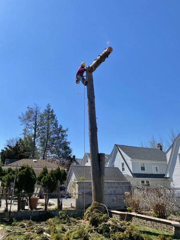 Local lawn care service experts serving Little Neck, NY - Tielis Landscaping and Tree Service