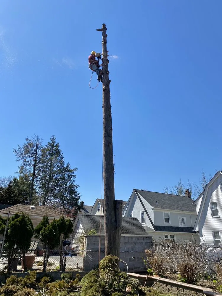 Local residential landscaping in Little Neck, NY - Tielis Landscaping and Tree Service