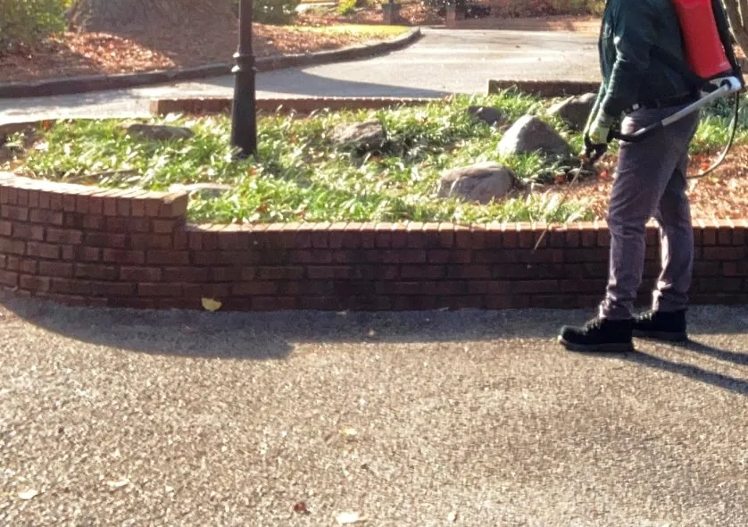 Top-rated landscaping services experts serving Columbia, MO - Tiempo Land Management