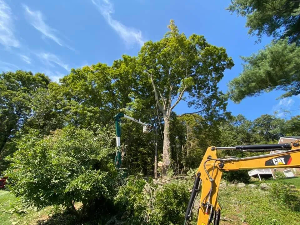 Expert lawn mowing service in Seymour, CT - Tier 1 Estate Care