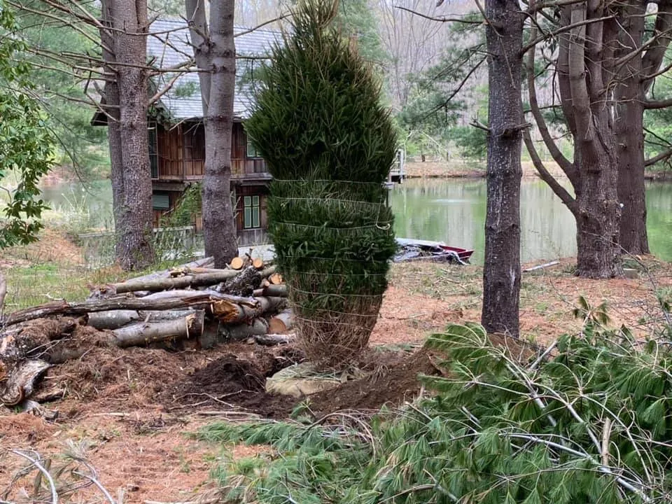 Custom garden landscaping near you across Seymour, CT - Tier 1 Estate Care