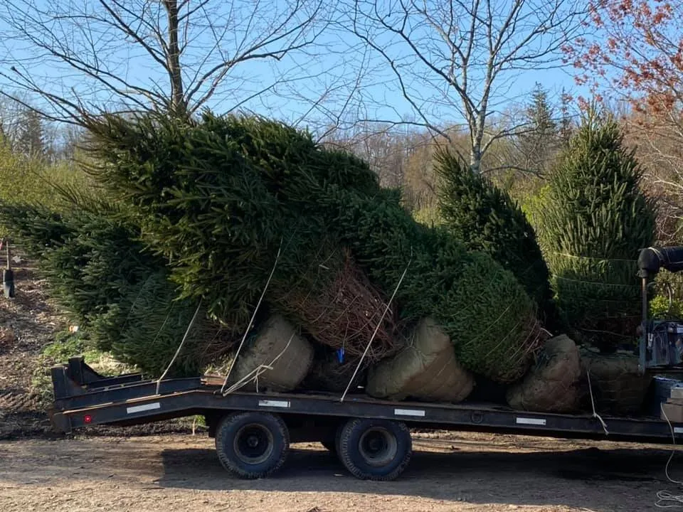 Professional landscaping services for homes in Seymour, CT by Tier 1 Estate Care