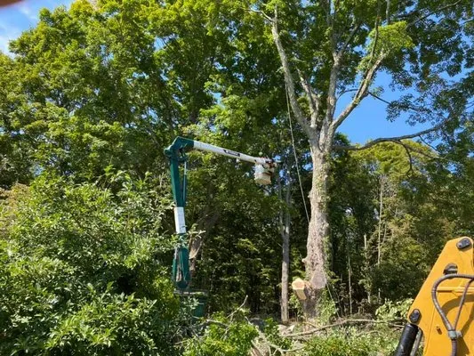 Tier 1 Estate Care Logo