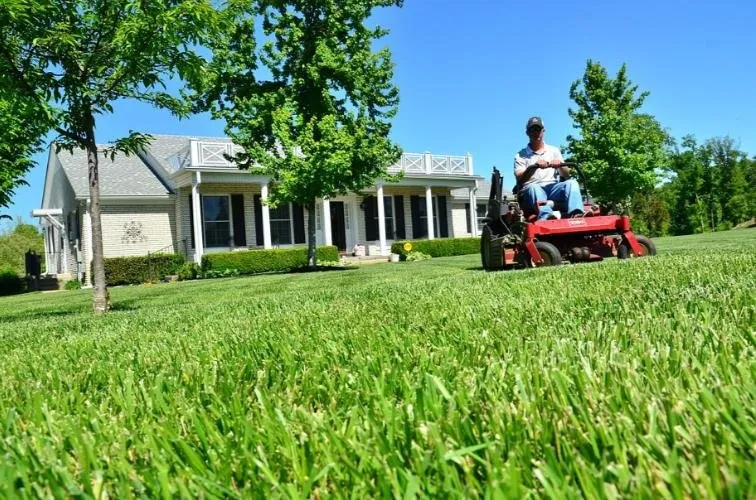 Affordable yard cleanup service for homes across Huntsville, AL - Tier 1 Pressure Washing & Outdoor Services