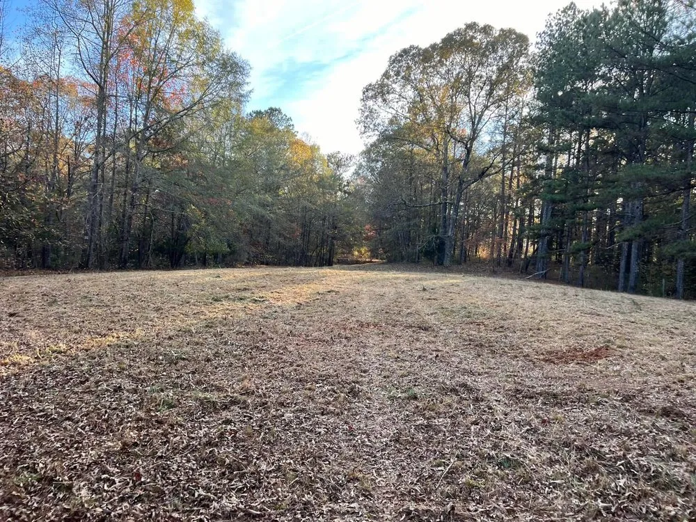 Professional lawn care service for year-round maintenance in Jackson, GA by Tier 1 Site Works