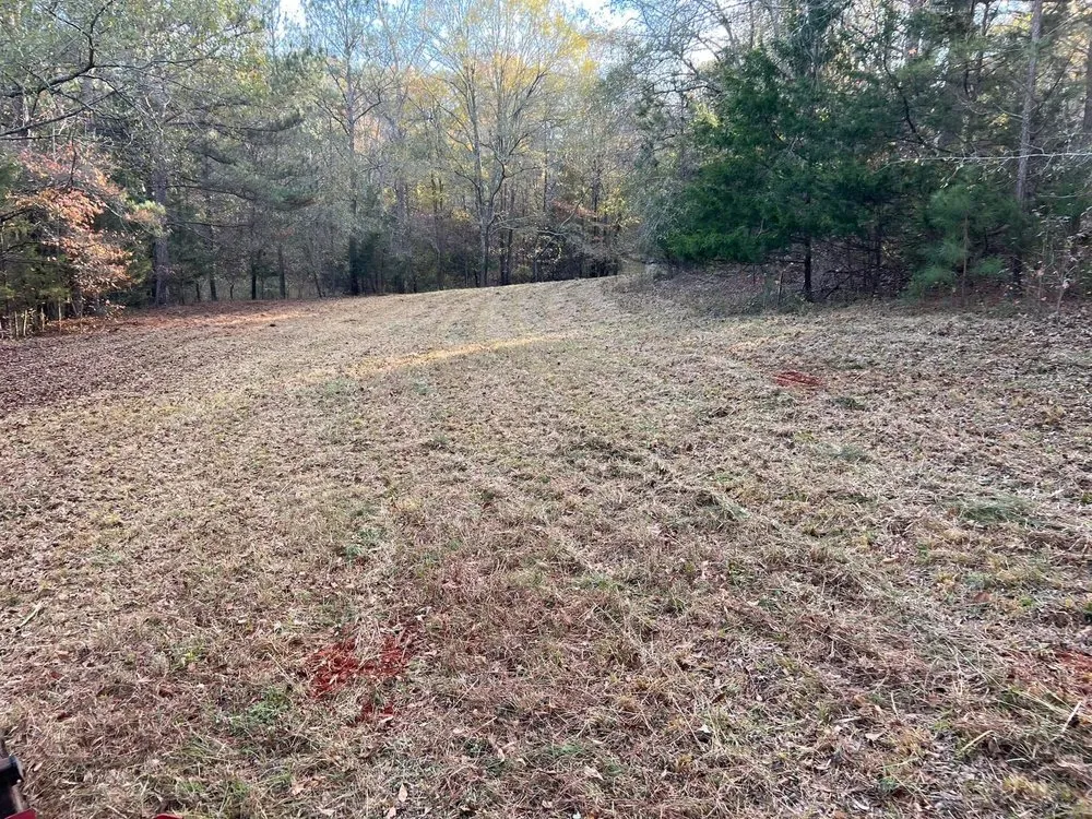 Expert lawn mowing service for residential properties in Jackson, GA by Tier 1 Site Works