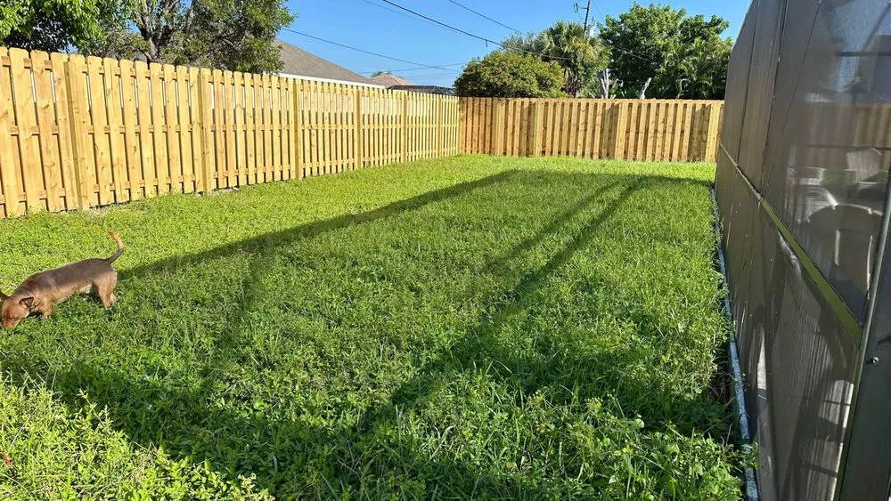 Local residential landscaping experts serving Cape Coral, FL - Tier One Aesthetics