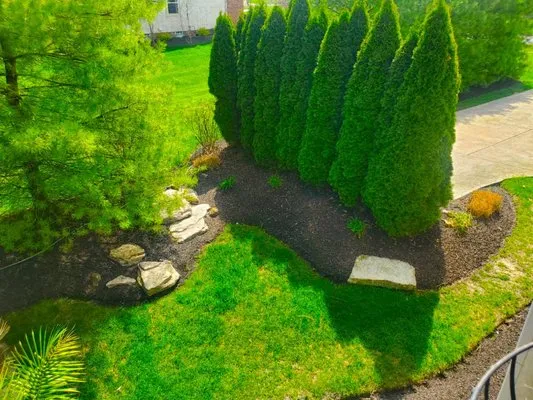 Tier One Landscaping Logo