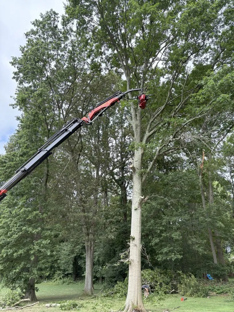 Reliable landscape design in Orange, CT by Tier One Outdoor Services