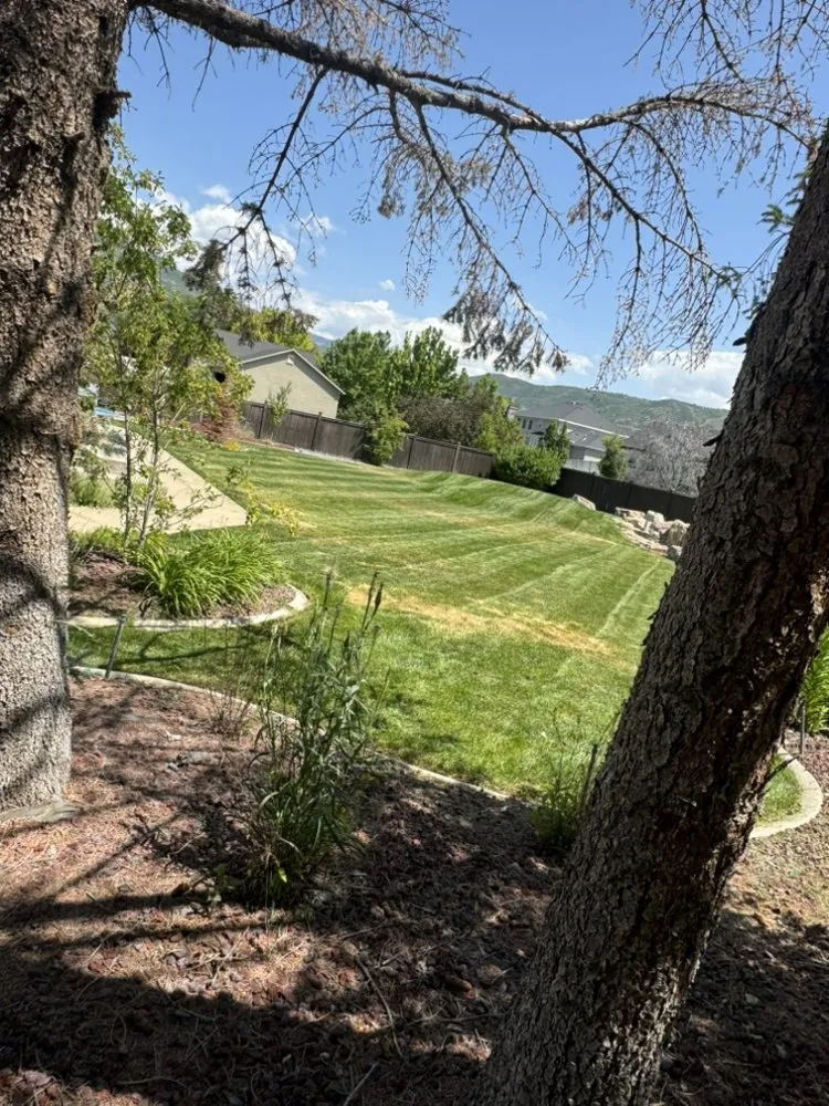 Local yard maintenance experts serving Riverton, UT - Tieran’s Landscaping