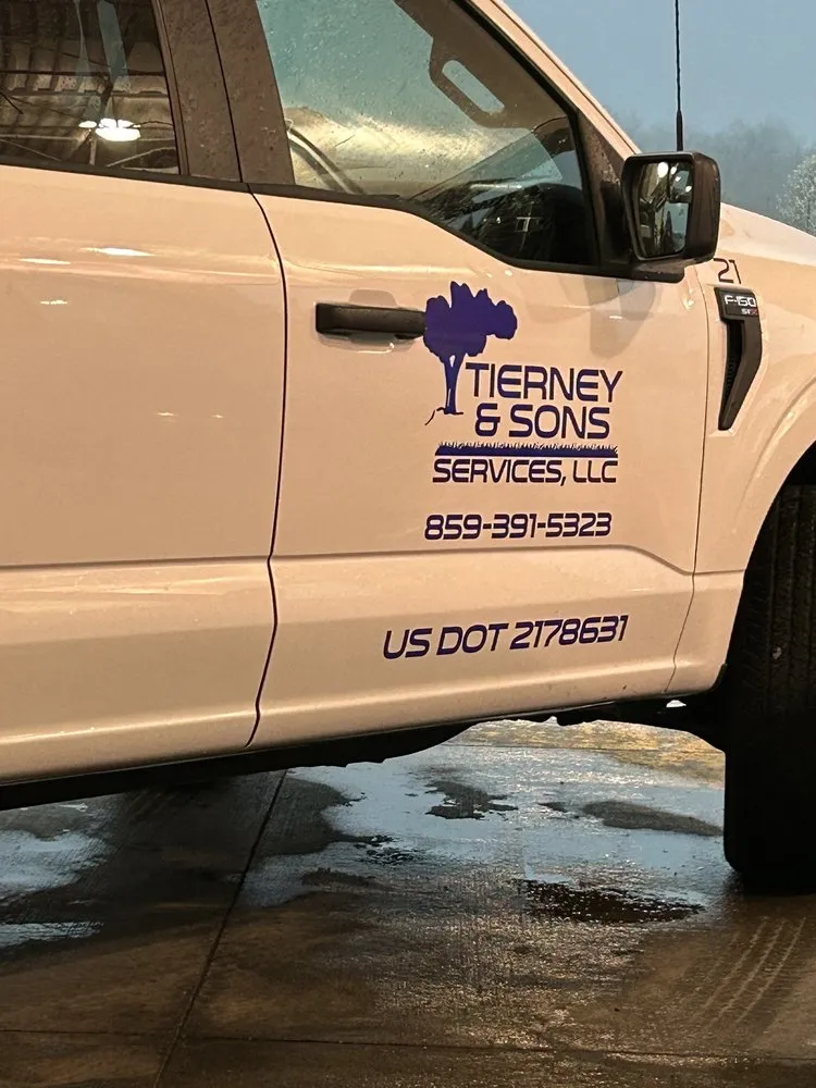 Reliable yard cleanup service experts serving Hebron, KY - Tierney & Sons