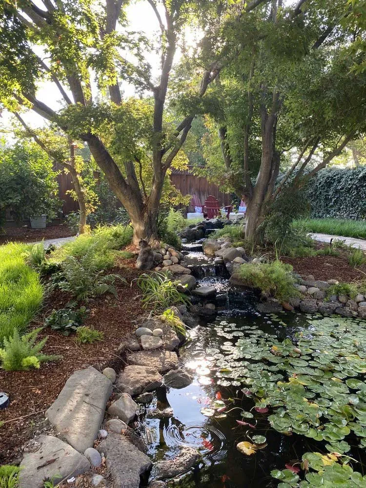 Local lawn care service for homes in San Martin, CA by Tierra Bella Landscape Construction, Inc.