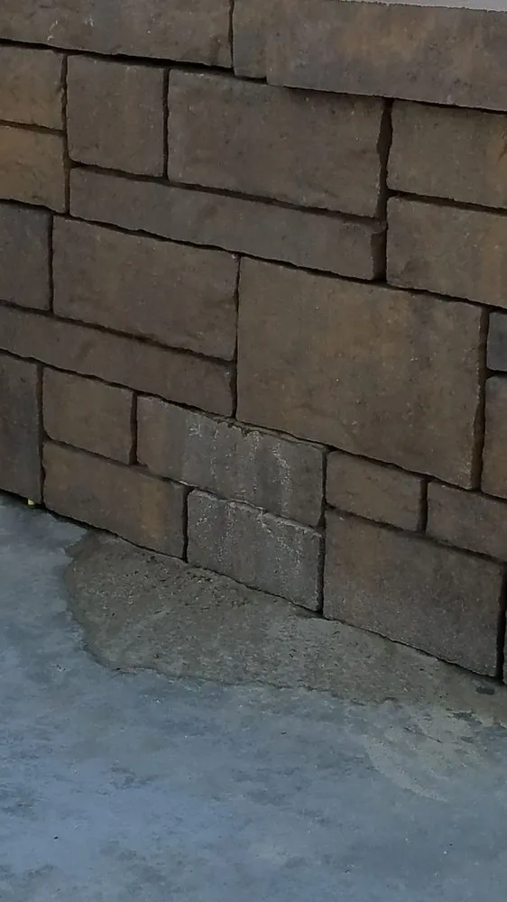 Top-rated yard cleanup service experts serving Vista, CA - Tierra Bella Landscape