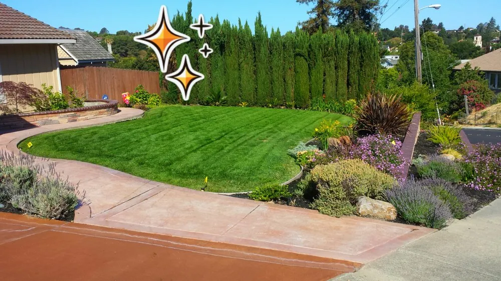 Professional landscape installation in Napa, CA by Tierra Bella Landscaping