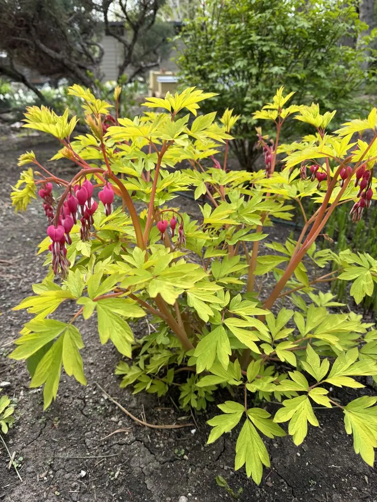 Custom lawn mowing service experts serving Holladay, UT - Tierra Blanca