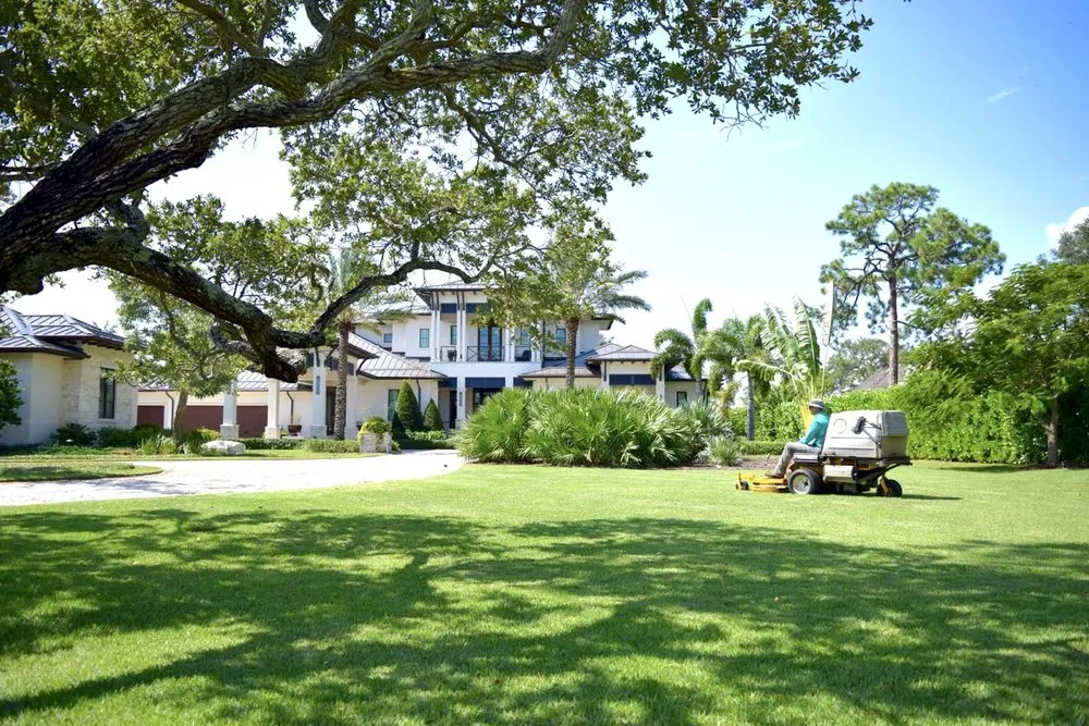 Professional yard cleanup service in Grant, FL by Tierra De Vida