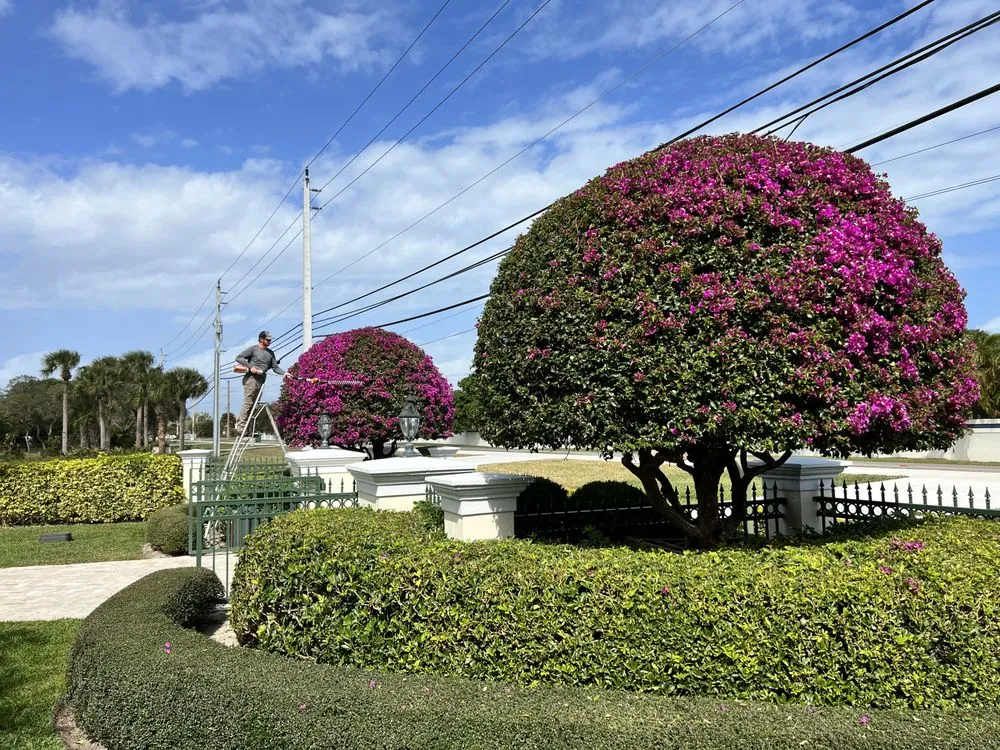 Professional landscaping services in Grant, FL - Tierra De Vida