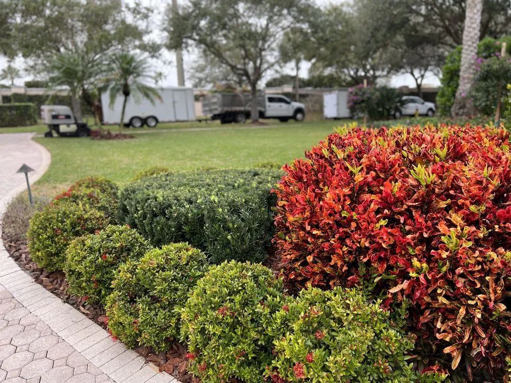 Professional landscaping services in Grant, FL - Tierra De Vida