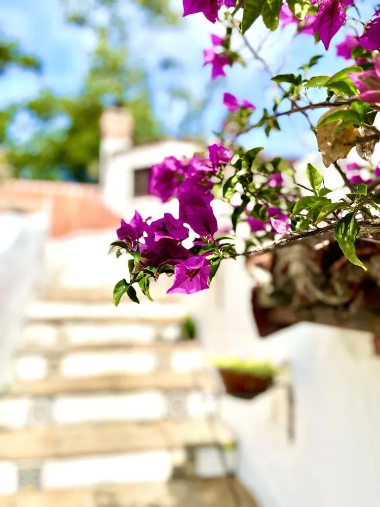 Trusted yard maintenance in Grant, FL by Tierra De Vida