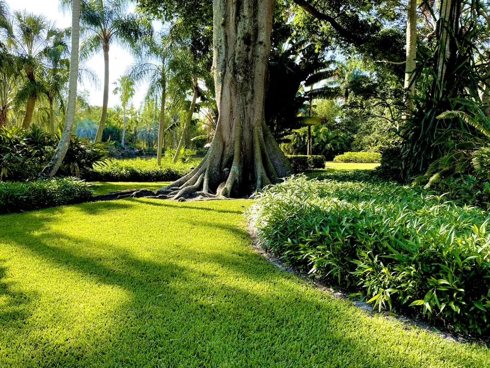 Top-rated landscape design in Grant, FL by Tierra De Vida