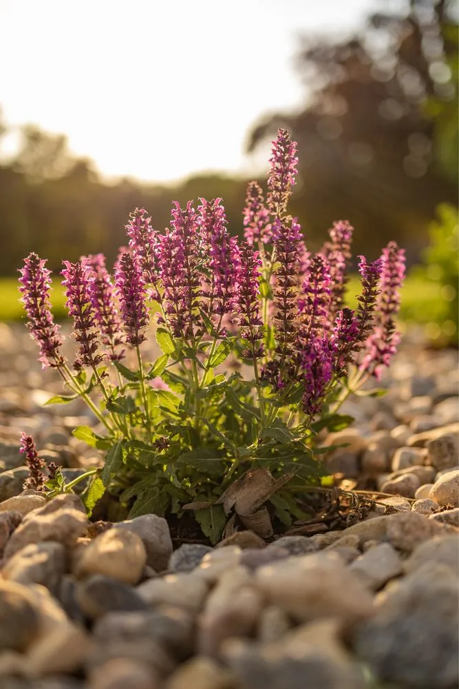 Top-rated landscape installation in Sioux Falls, SD - Tierra Design