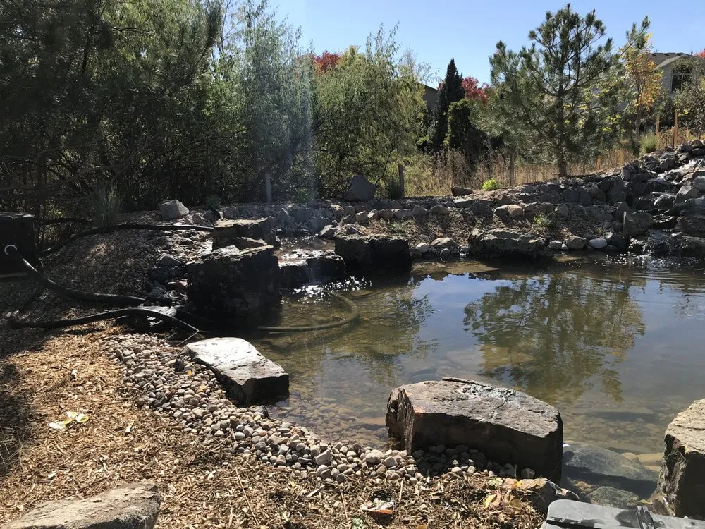 Reliable landscape design experts serving Denver, CO - Tierra Gardens Garden Center