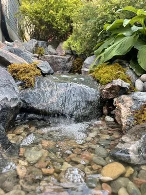 Tierra Gardens Garden Center Logo