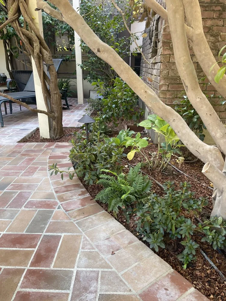 Expert landscaping services experts serving East Palo Alto, CA - Tierra Landscaping