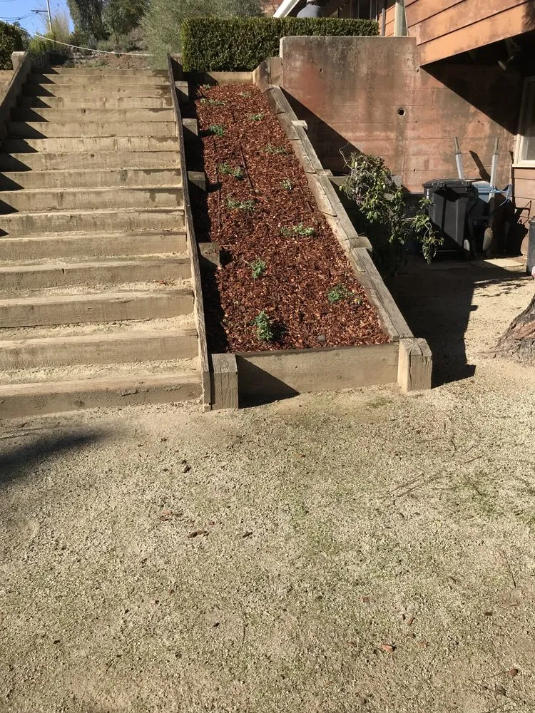 Top-rated lawn mowing service for year-round maintenance in East Palo Alto, CA by Tierra Landscaping