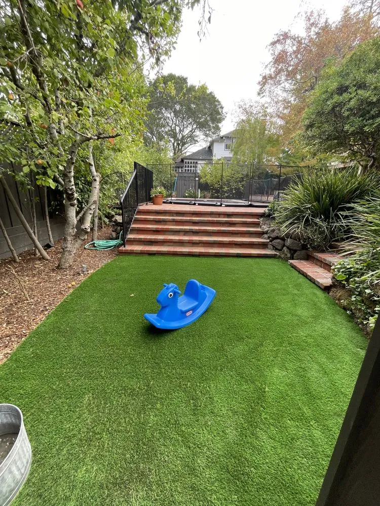 Trusted lawn care service experts serving East Palo Alto, CA - Tierra Landscaping