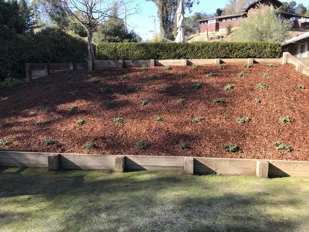 Reliable yard cleanup service in East Palo Alto, CA - Tierra Landscaping