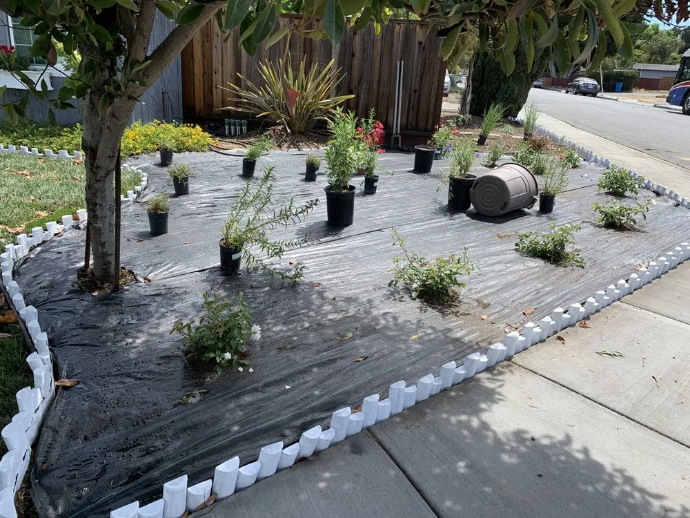 Affordable outdoor landscaping in East Palo Alto, CA - Tierra Landscaping
