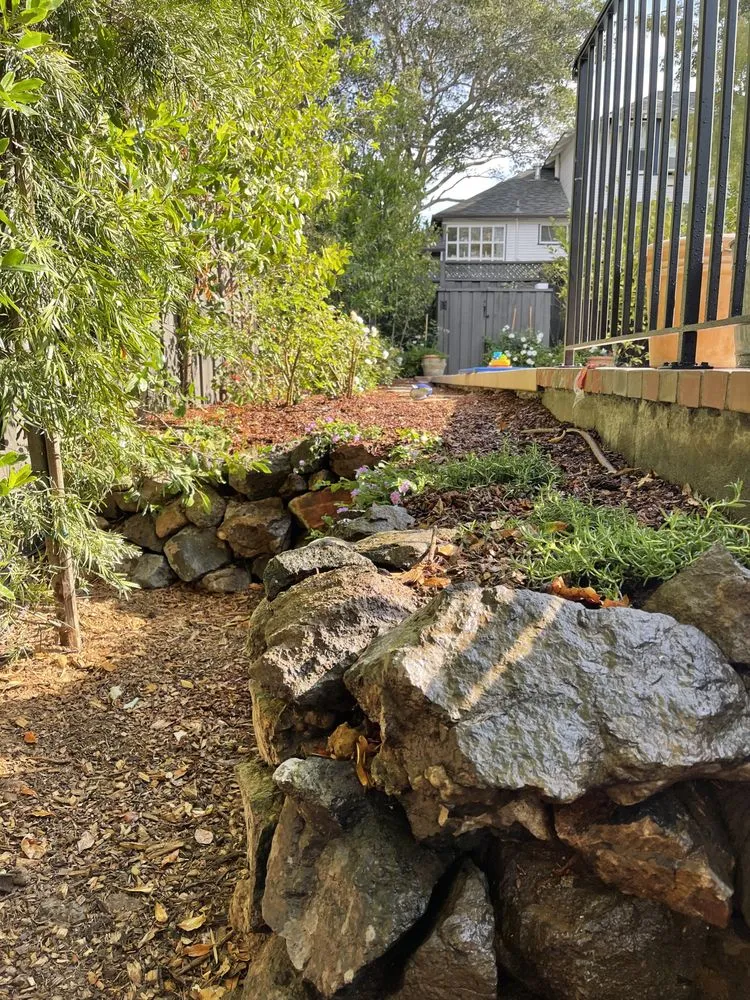 Expert landscape design for year-round maintenance in East Palo Alto, CA by Tierra Landscaping