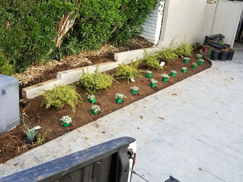 Expert landscape installation near you in Vista, CA by Tierra Linda Landscape