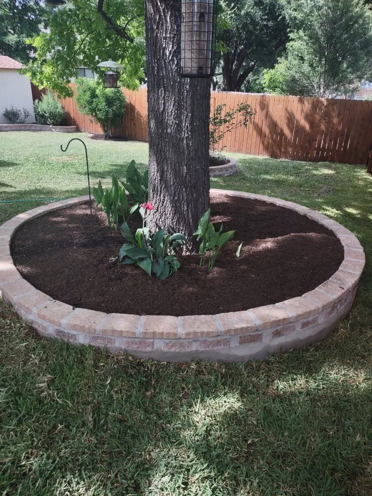 Affordable yard maintenance for year-round maintenance across Manor, TX - Tierra Scapes & Irrigation