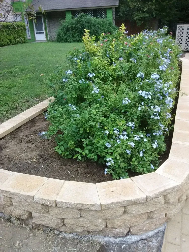 Reliable yard maintenance for outdoor upgrades in Manor, TX by Tierra Scapes & Irrigation