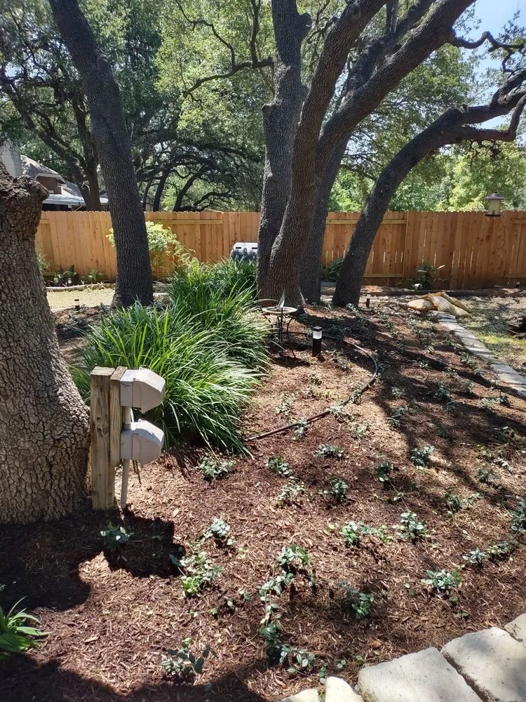 Reliable yard cleanup service in Manor, TX - Tierra Scapes & Irrigation